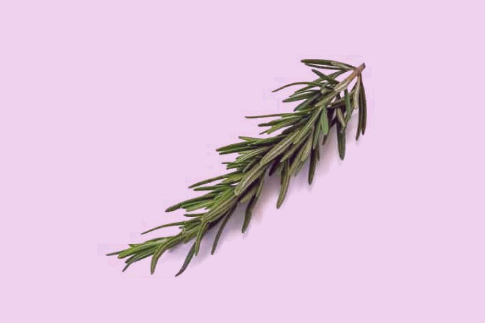 روغن رزماری