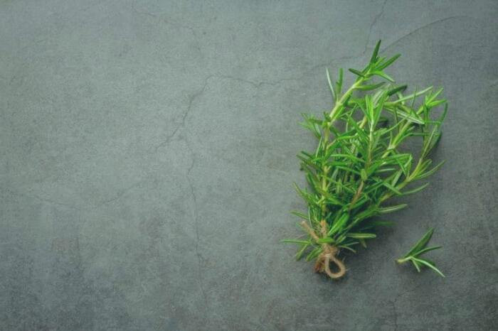 فواید رزماری