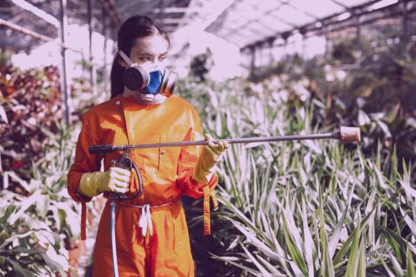 عوارض آفت کش ها 