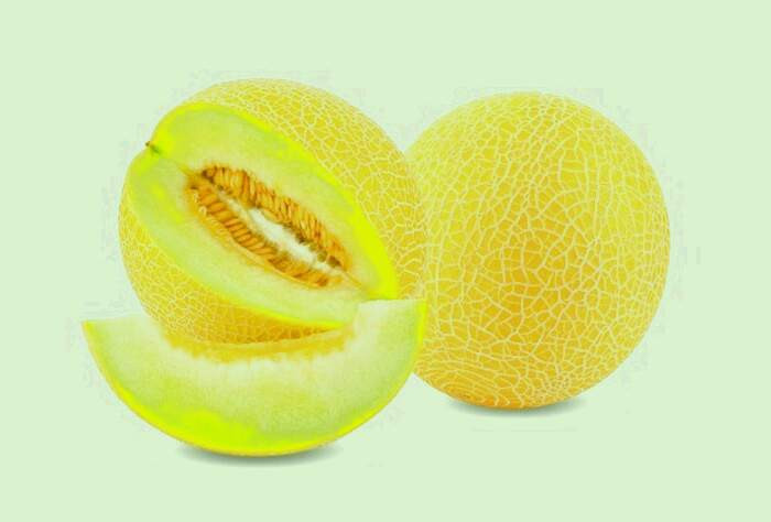 طالبی و لاغری 