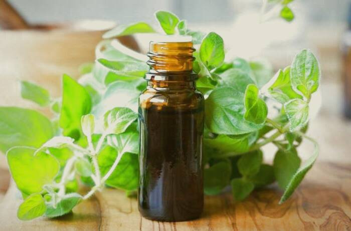 روغن پونه کوهی