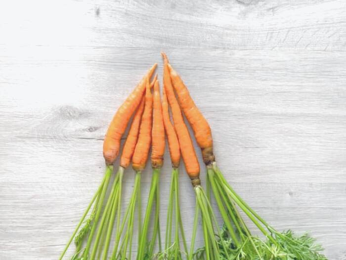 سلامت دهان و دندان