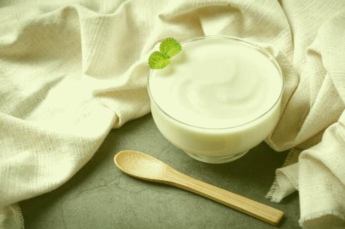 بهترین ماست 