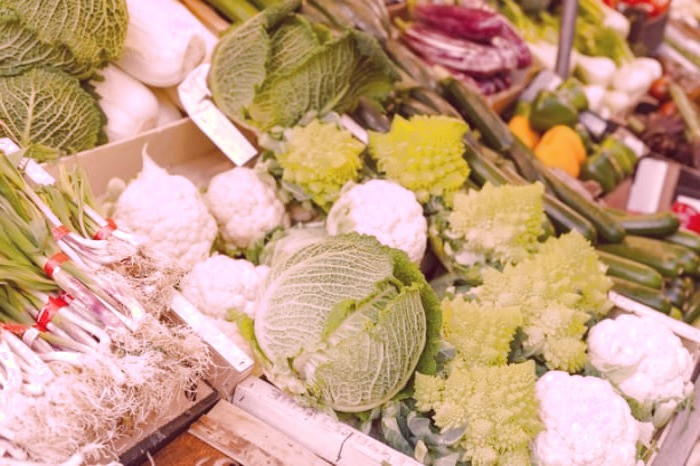 مدت هضم غذاها 