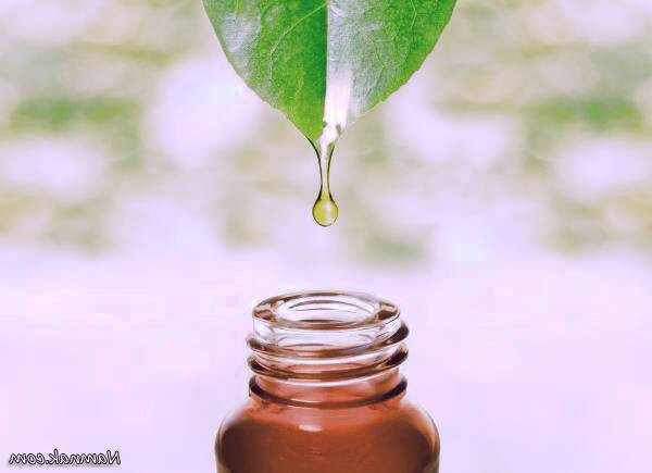روغن درخت چای