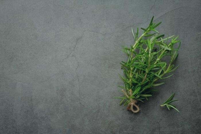 تقویت حافظه