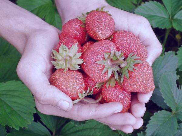 ماسک پوست مختلط