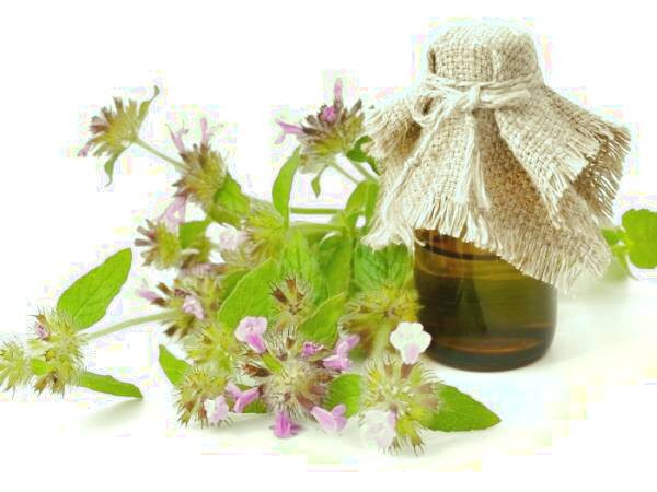روغن پونه
