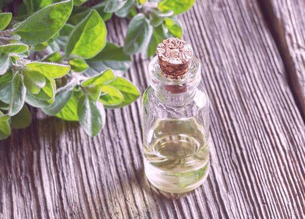 خاصیت روغن پونه