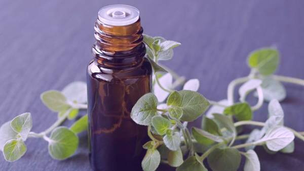 خواص روغن پونه برای پوست