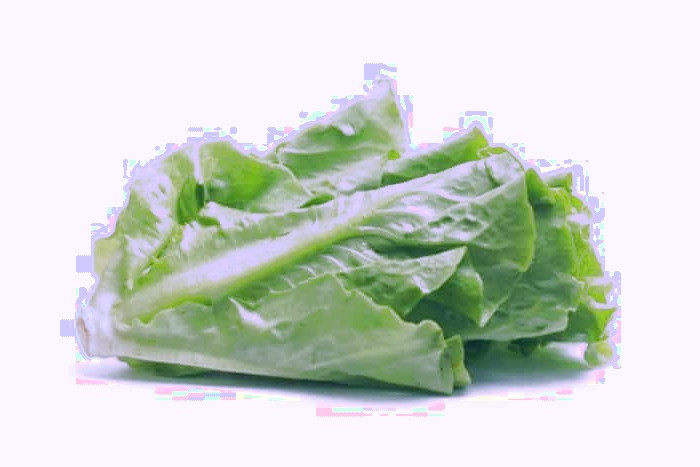 مسمومیت با کاهو
