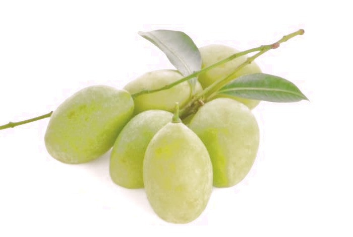 نوبرانه چغاله