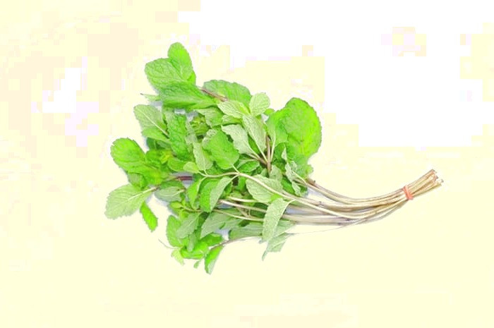 سبزی نوبرانه بهاری