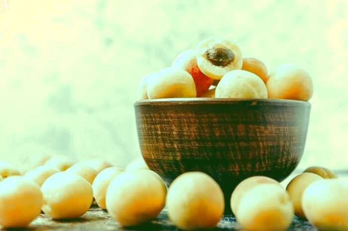 زردآلوی نوبرانه