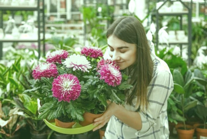 حس بویایی