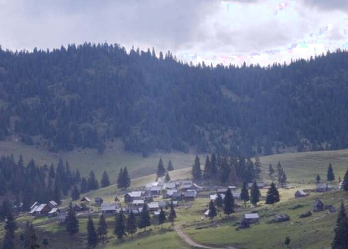زندگی در ارتفاعات