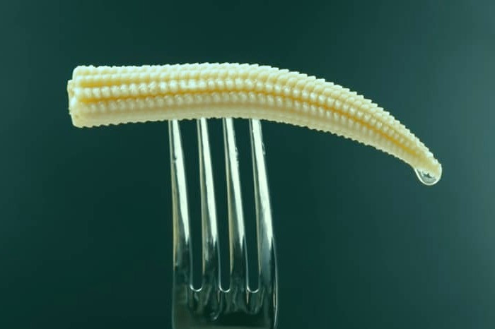 بچه ذرت
