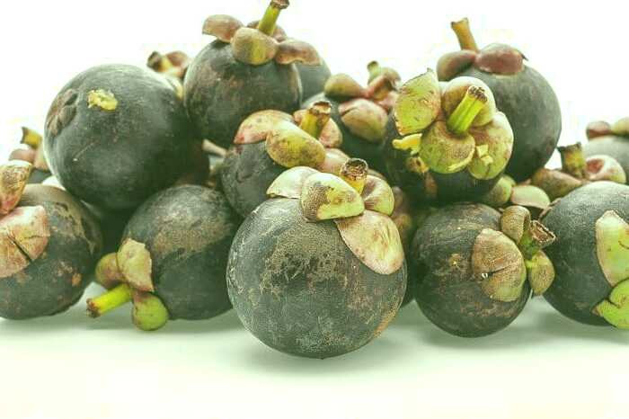 خواص منگوستین