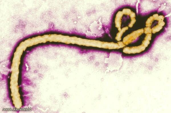 شناسایی ویروس