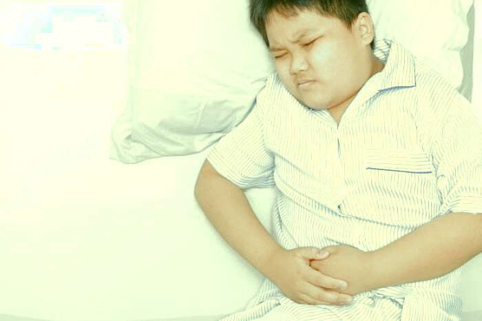 گل محمدی برای درمان یبوست