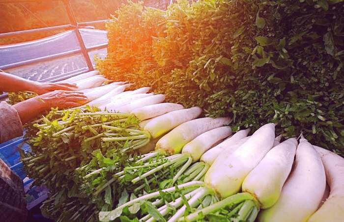 ترب سفید چه خواصی دارد؟ 