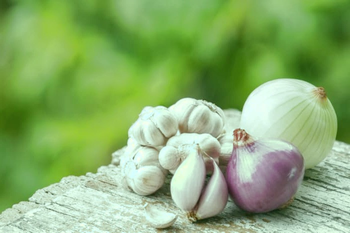 مصاحبه کاری 