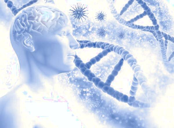 مغز و اعصاب