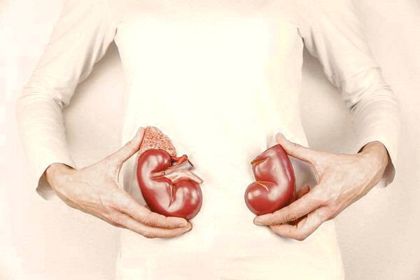 بیماری کلیه