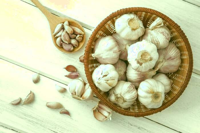 رفع عفونت دندان با سیر 