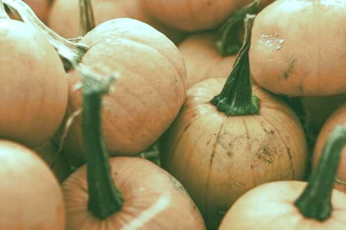 فواید کدو حلوایی برای سرماخوردگی مزایای کدو حلوایی