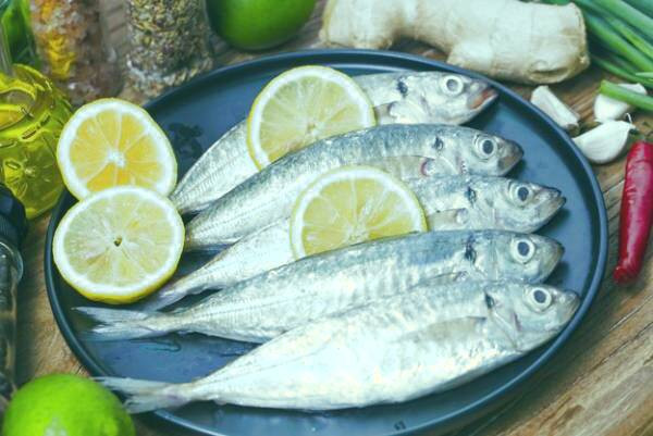 تغذیه سالم برای چشم خوردن ماهی