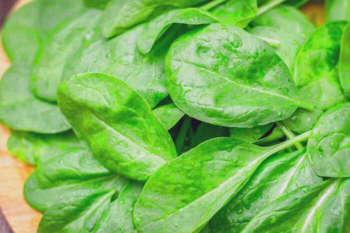 خوراکی و رژیم غذایی برای آرتروز زانو  تغذیه آرتروز زانو