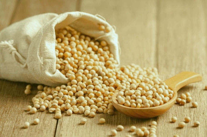 مصرف سویا برای تقویت استخوان سویا برای ستخوان