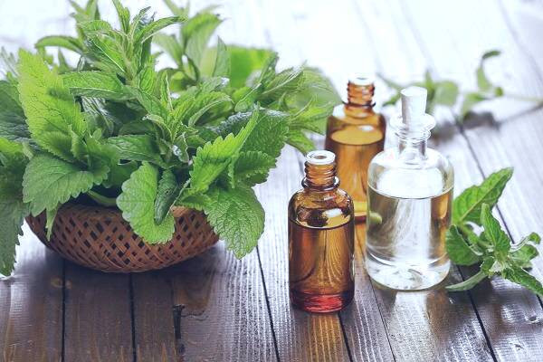 روغن نعناع فلفلی