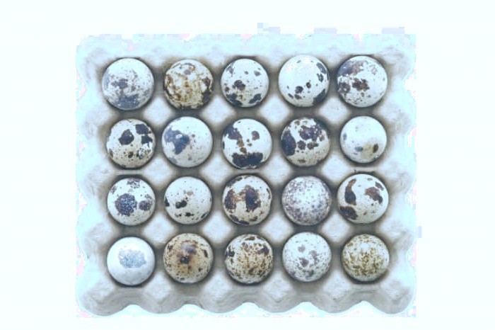 فواید تخم بلدرچین