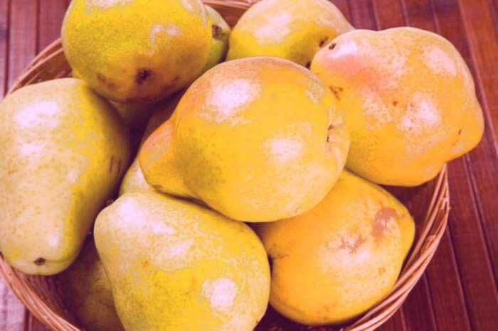 مصرف گلابی در بارداری 