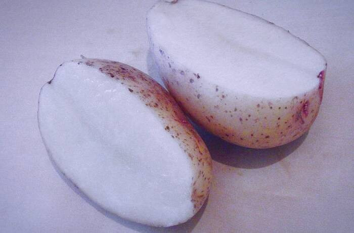 استفاده از سیب زمینی 