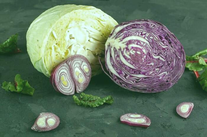 فواید کلم پیچ