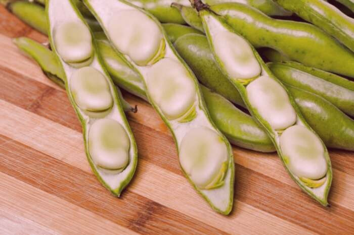 باقلا برای معده