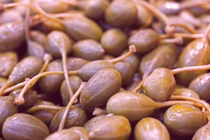 گیاه کبر در طب سنتی