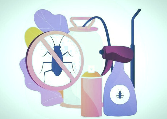 استفاده از حشره کش ها