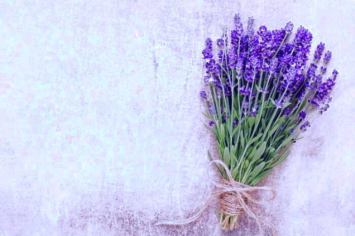 ماسک اسطوخودوس