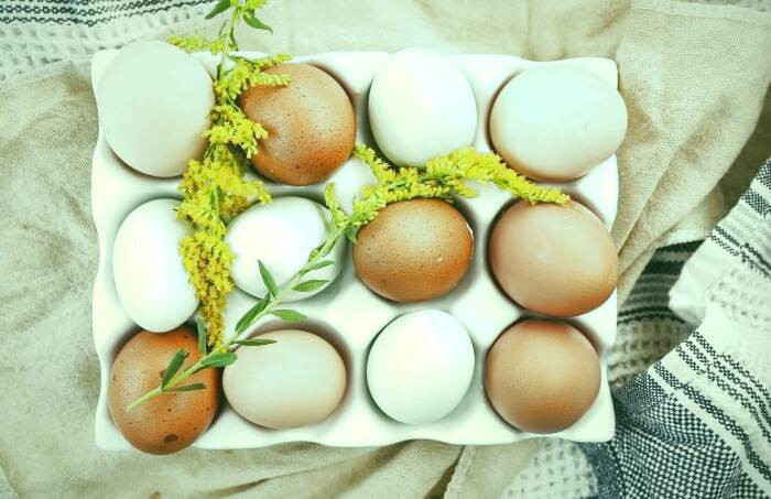 فواید تخم مرغ