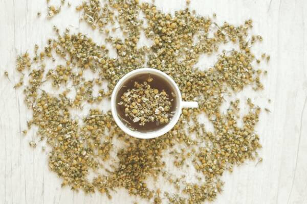 دمنوش بابونه