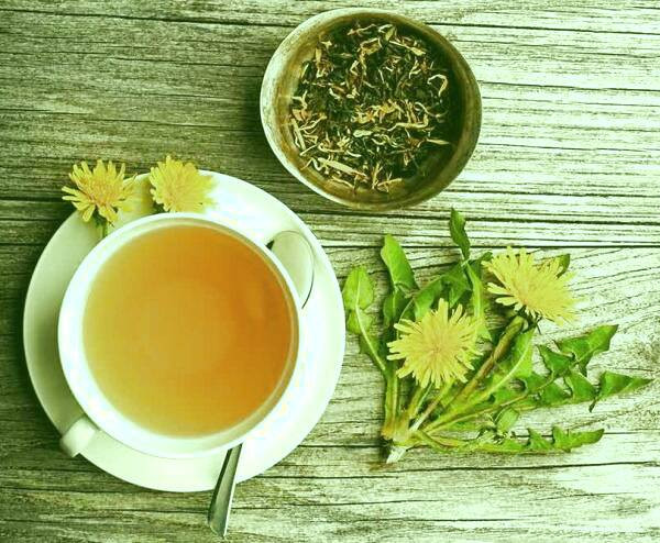 دمنوش قاصدک