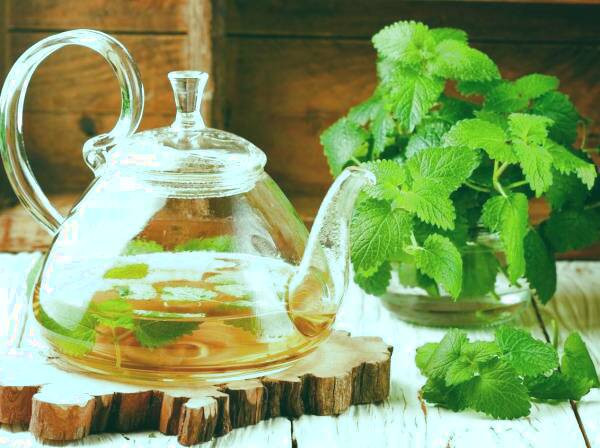 دمنوش بادرنجبویه