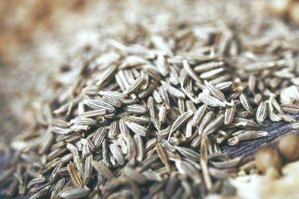 دمنوش رازیانه