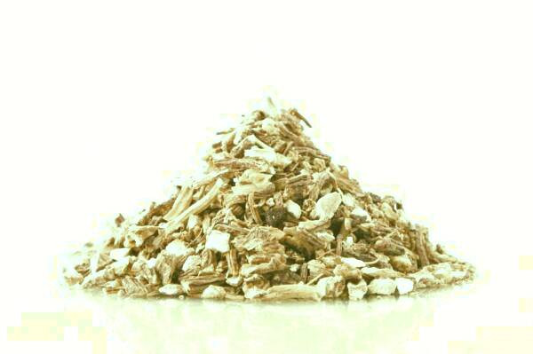 ریشه آنجلیکا