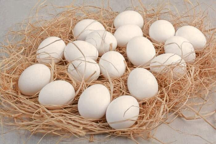 خاصیت تخم مرغ
