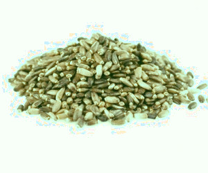 چلغوز: خواص و طبع آن چیست؟